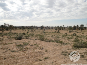 V 057 -                            Koupit
                           Terrain Djerba